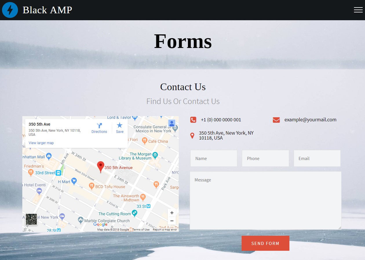 AMP HTML Forms Template