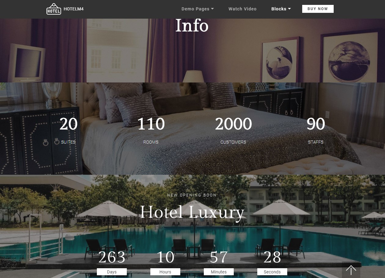 Info Hotel Website Theme