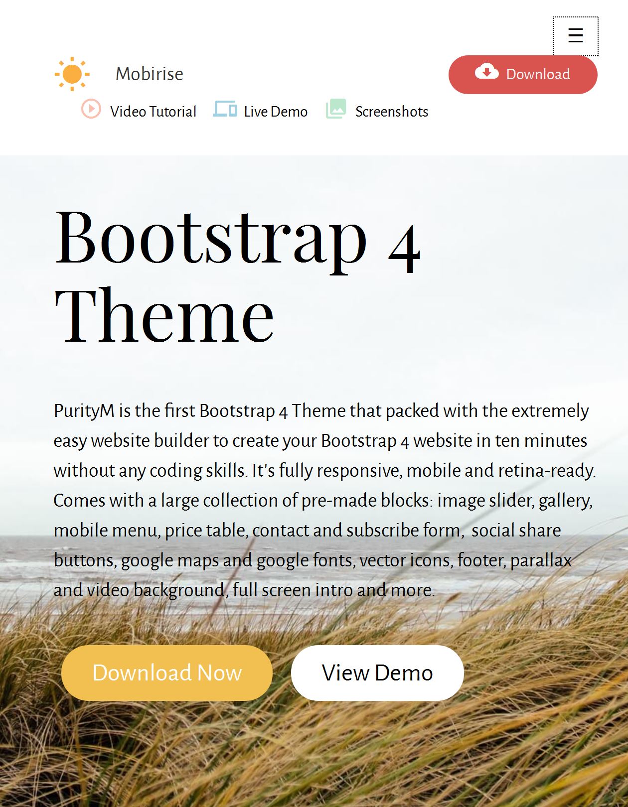 Bootstrap User Profile Template