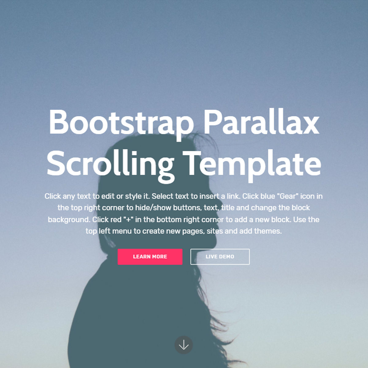 Responsive Bootstrap  Parallax Scrolling  Themes