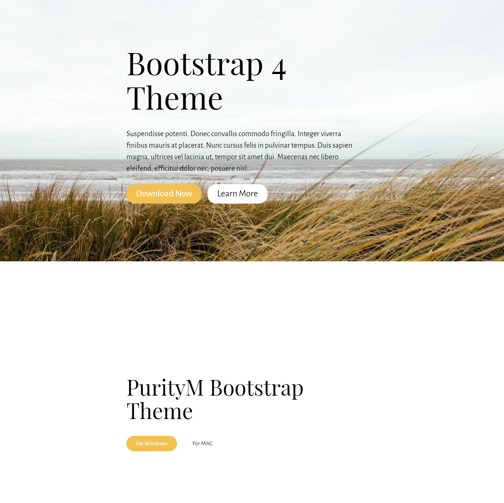 Bootstrap 4 Theme