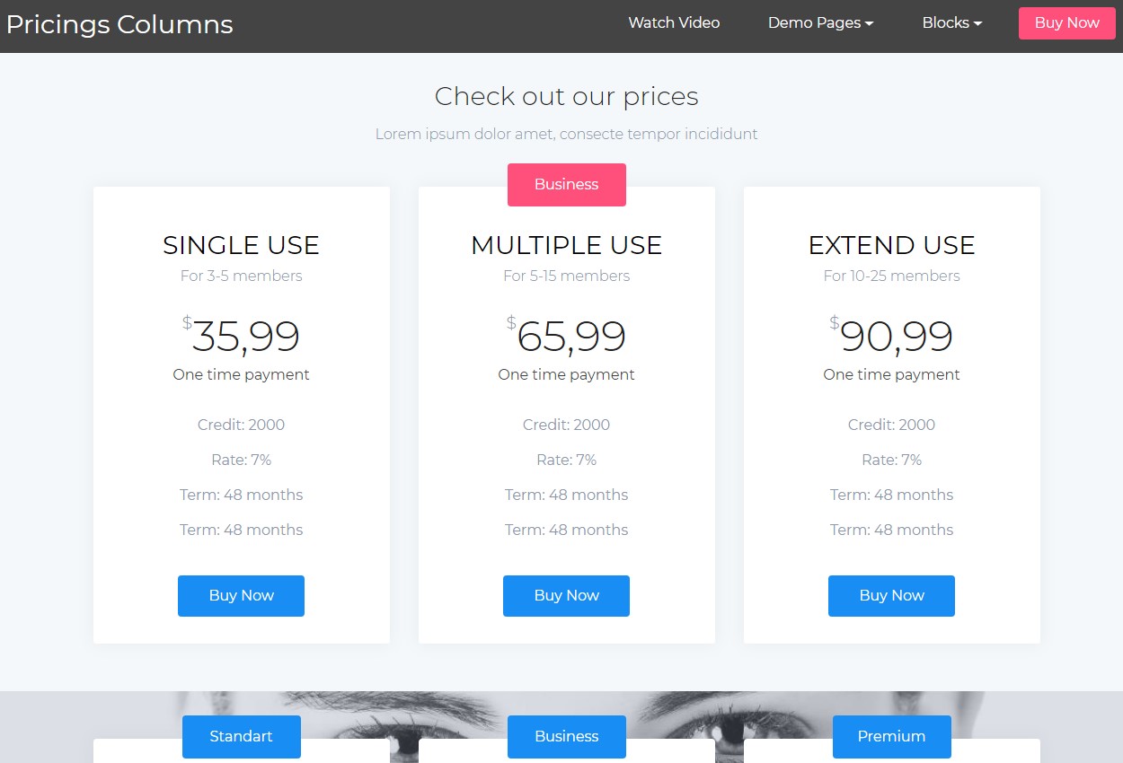Mobile-friendly Pricing HTML Template